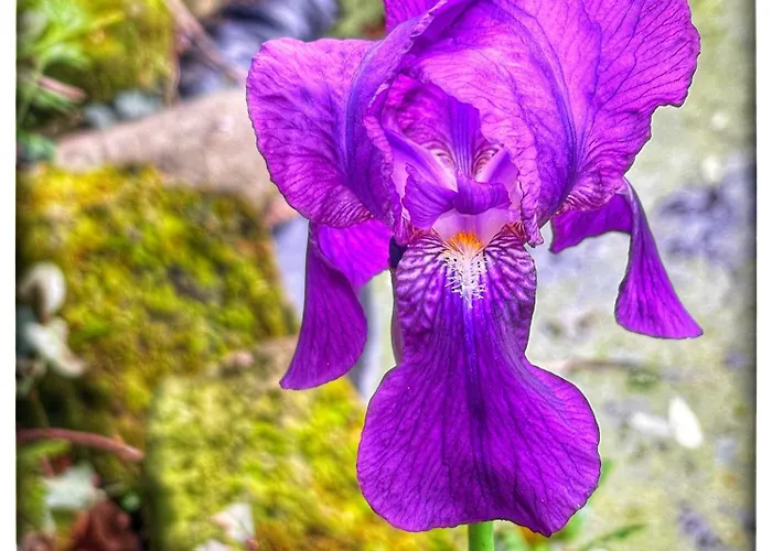 Mirella & Patrick Ferienhaus Boccea